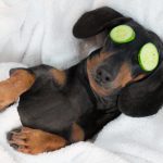 Le portefeuille diversifié : la clé de la sérénité financièr