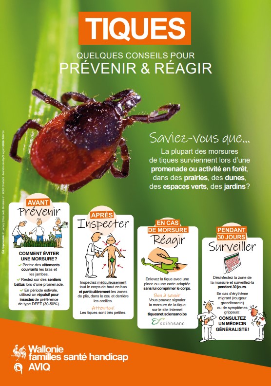 Tiques – Quelques conseils pour prévenir et réagir